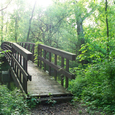 Brücke im Wald. © Grafixar/morguefile.com