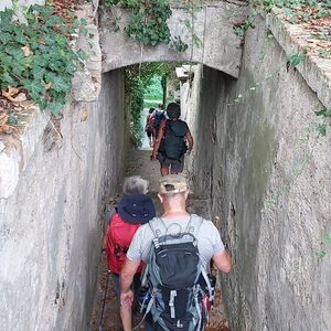 Hinab zum Donauufer in Hollenburg