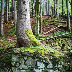 Pilgerwanderung