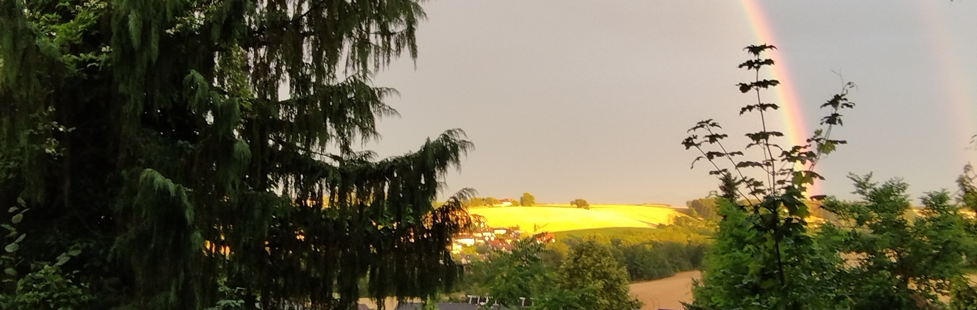 Regenbogen