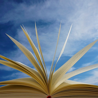 © Kranich17/pixabay.com/Pixabay License