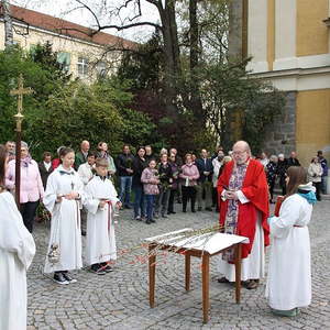 Palmsonntag in St. Quirinus