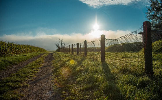 Auf einem Feldweg der Sonne entgegen gehen