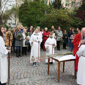 Palmsonntag in St. Quirinus