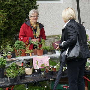 Pflanzenflohmarkt 2015