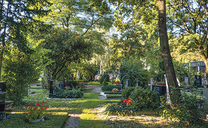 Ein ökologisch gestalteter Friedhof ist sowohl ein Ort des Trauerns und Erinnerns als auch ein Lebens- und Begegnungsraum mit vielen Bäumen und Blumen.