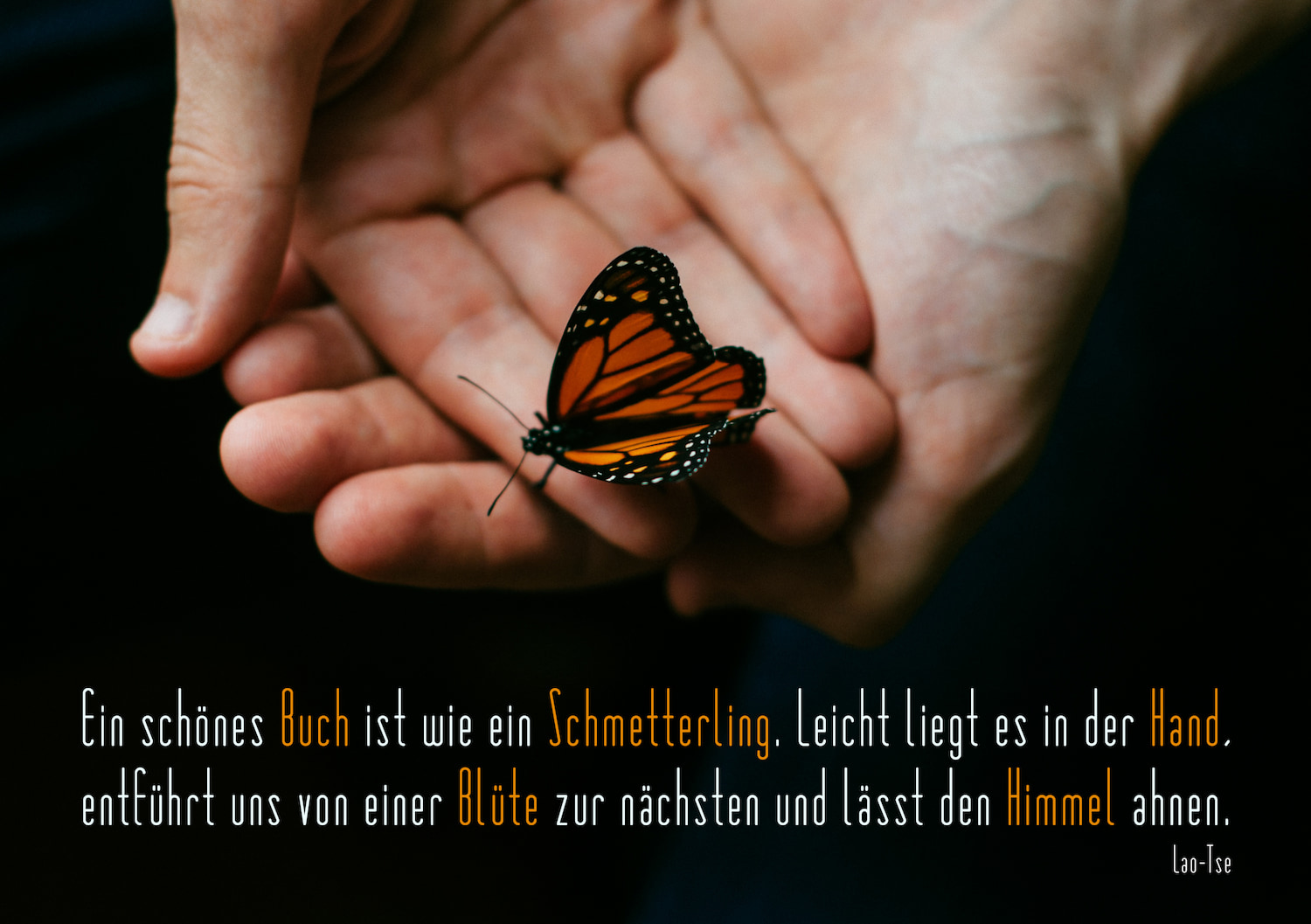 Schmetterling in der Hand