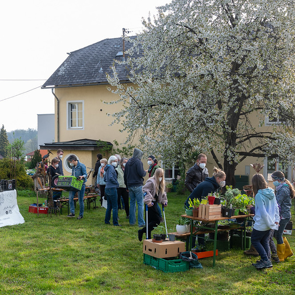 Blumen- und Pflanzenmarkt