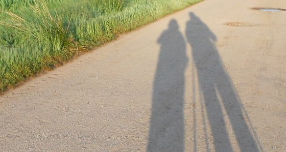 Das Leben steht auf dem Spiel, / Pilgerschatten. © Herbert Schiller Über die Gefräßigkeit von Schriftgelehrten und Opferkästen