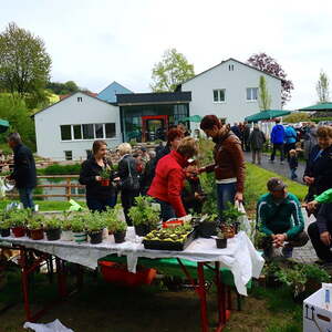 Pflanzenflohmarkt 2015