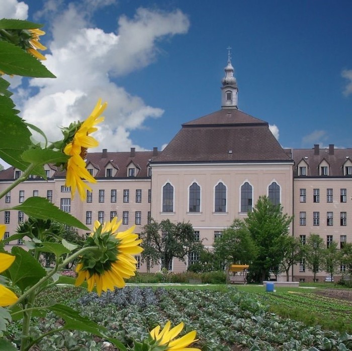 Franziskanerinnen von Vöcklabruck