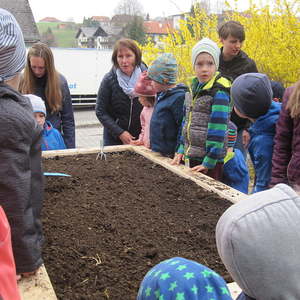 Landjugend Sarleinsbach