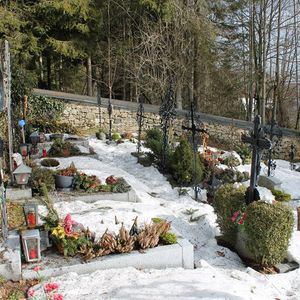 Der Waldfriedhof ist von Bäumen eingerahmt