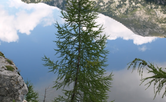 Spiegelung Lahngangsee. © Petelin Stefanie