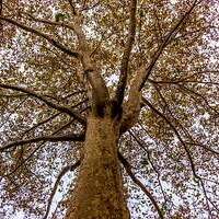 Kontakt / © bareli/pixabay.com/Pixabay License Kontakt