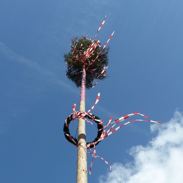 Maibaum