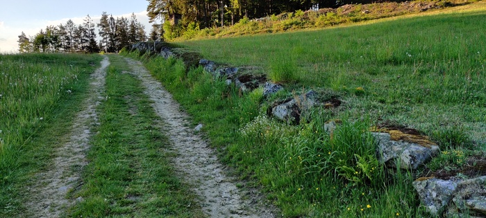 Weg in der Natur