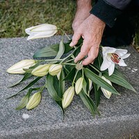 Selbsthilfegruppe für Trauernde / © Ivan Samkov/Pexels.com/CC0 1.0 Selbsthilfegruppe für Trauernde