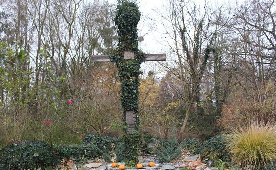 © Pfarre EferdingerLand