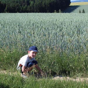 4 Pfarren-Wanderung