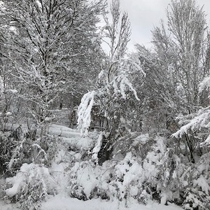 Winterlandschaft