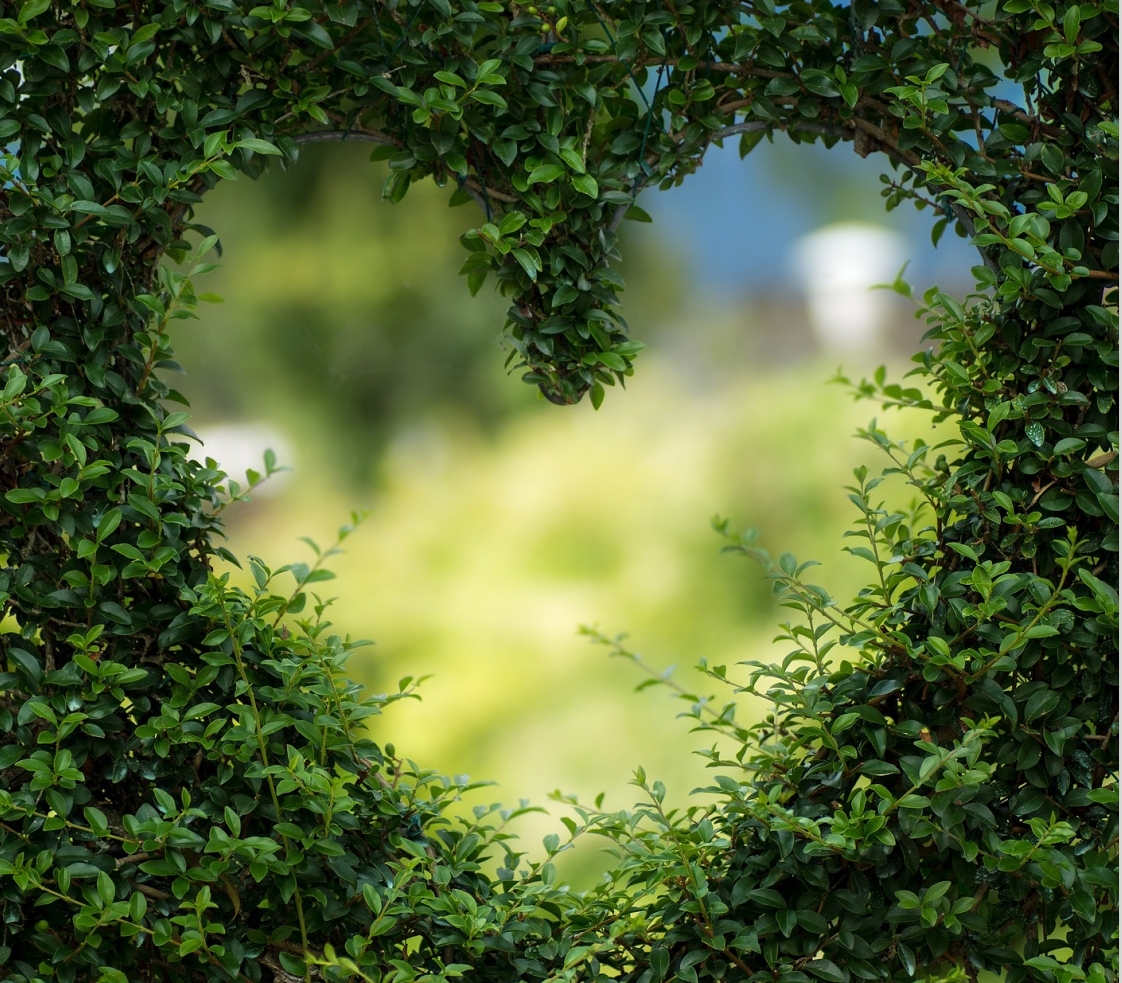 ein Loch in Herzform in eine Hecke geschnitten