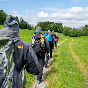 Jägerstätter Sternwallfahrt 2023 Pilgergruppe Schwertberg