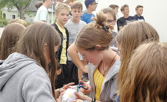 Ein rohes Ei musste mit wenigen vorgegebenen Materialien verpackt werden