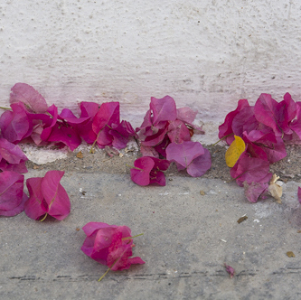 © Burghard Ebenhöh