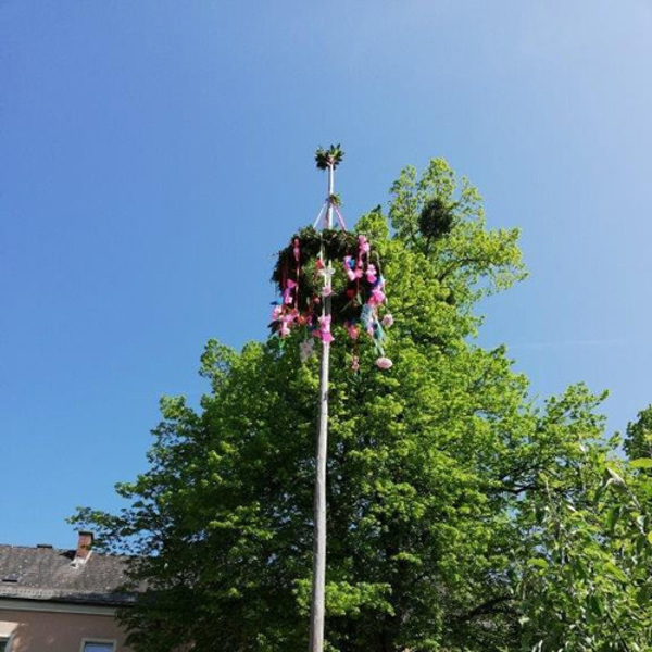 Maibaum