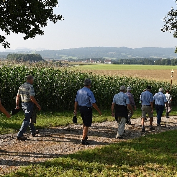 Die Wallfahrt heute