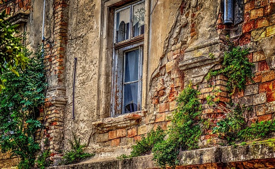 Bild von TheoRivierenlaan auf Pixabay