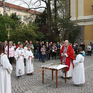 Palmsonntag in St. Quirinus