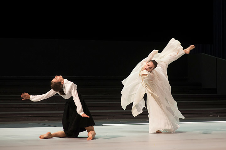 Laurent Ziegler, Bildrecht