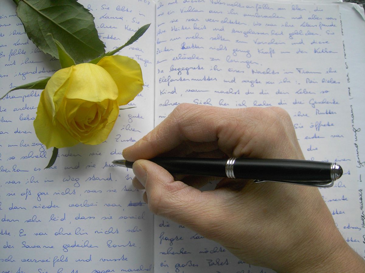 Oasentage / Lydia Neunhäuserer Oasentage