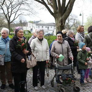 Palmsonntag in St. Quirinus