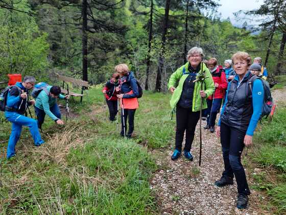 Fuß- und Buswallfahrt nach Admont / Berta Stadler 18. - 20. Mai 2023 - Christi Himmelfahrt