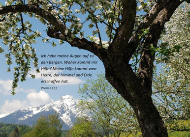 © Pfarrgemeinde Baumgartenberg