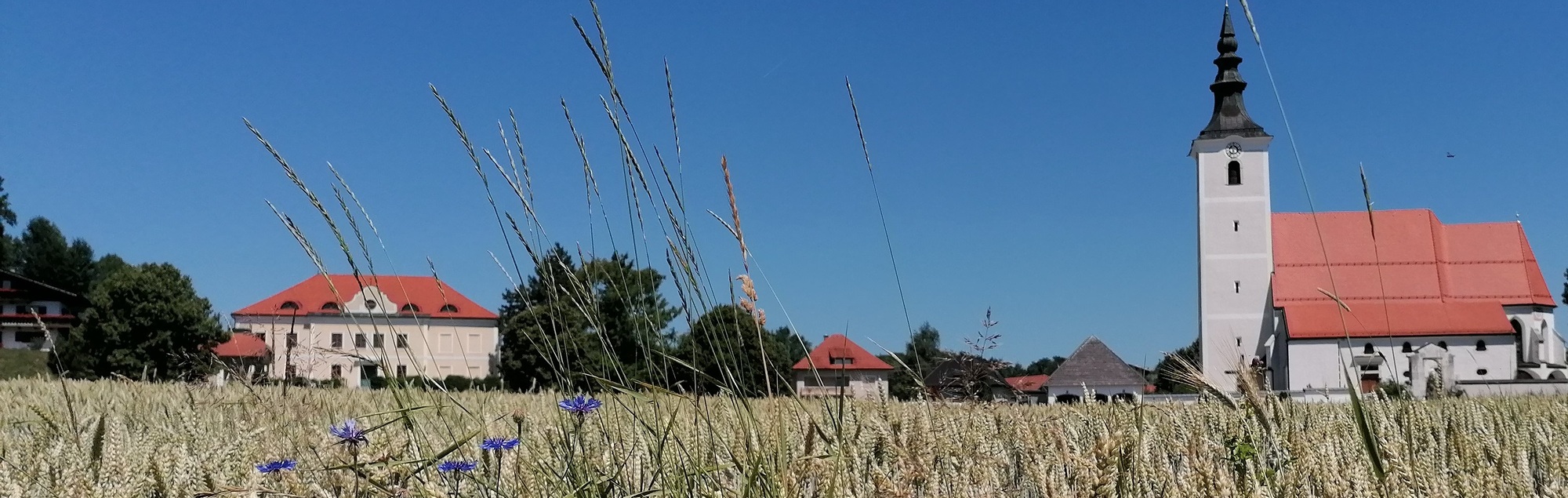 Pfarrkirche im Herbst