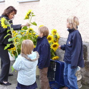 Erntedankfest und Orgelfest 2008