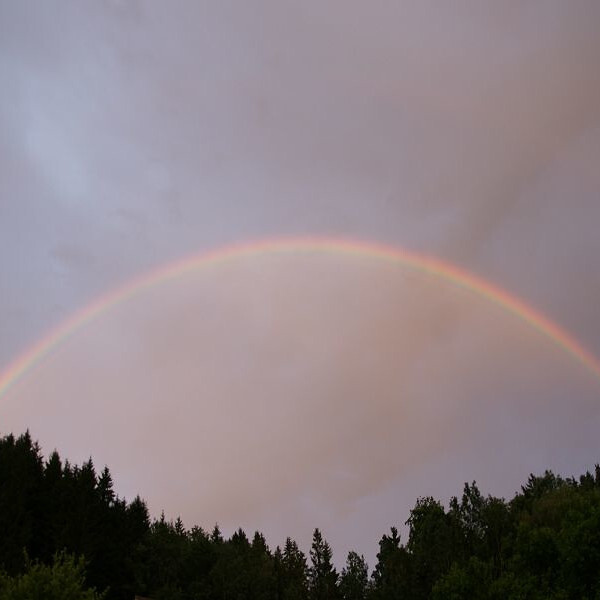 Regenbogen