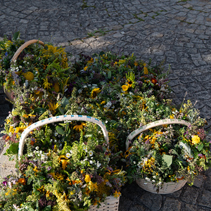 Maria Himmelfahrt in Burgkirchen