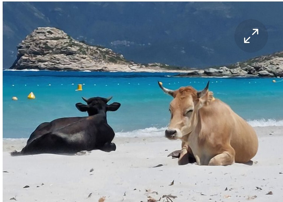 Urlaubszeit / Claudia Seitz