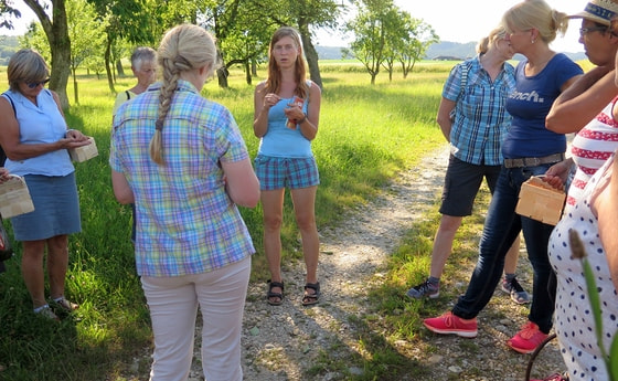                                Kräuterwanderung am Mathiasnhof