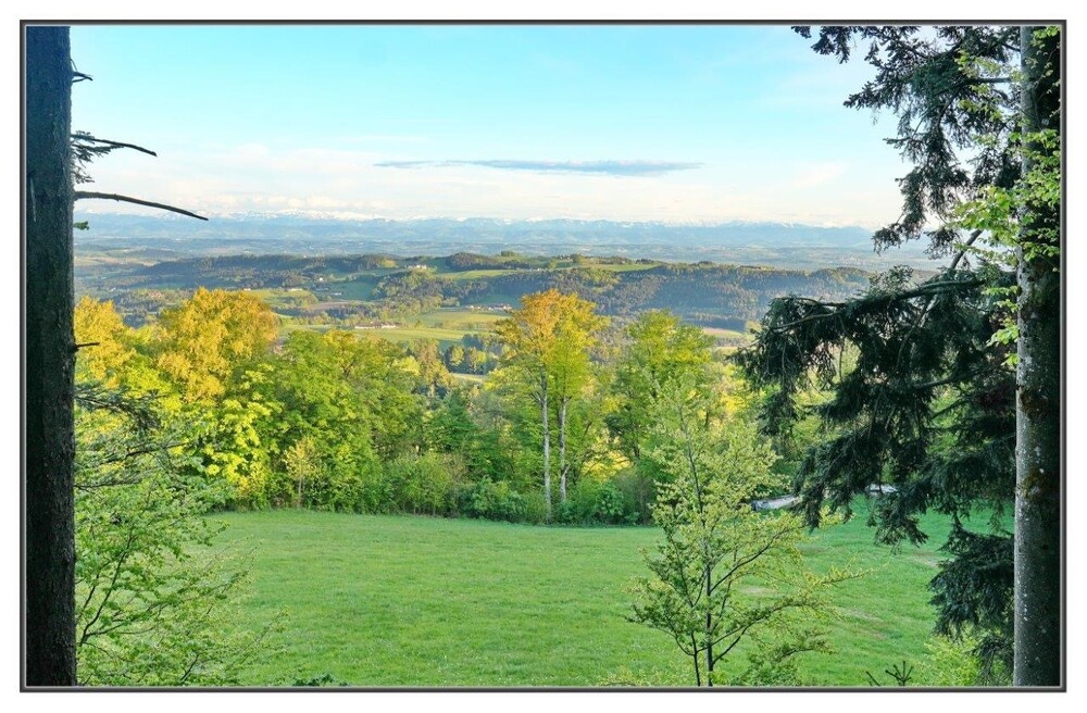 Blick vom Hofberg