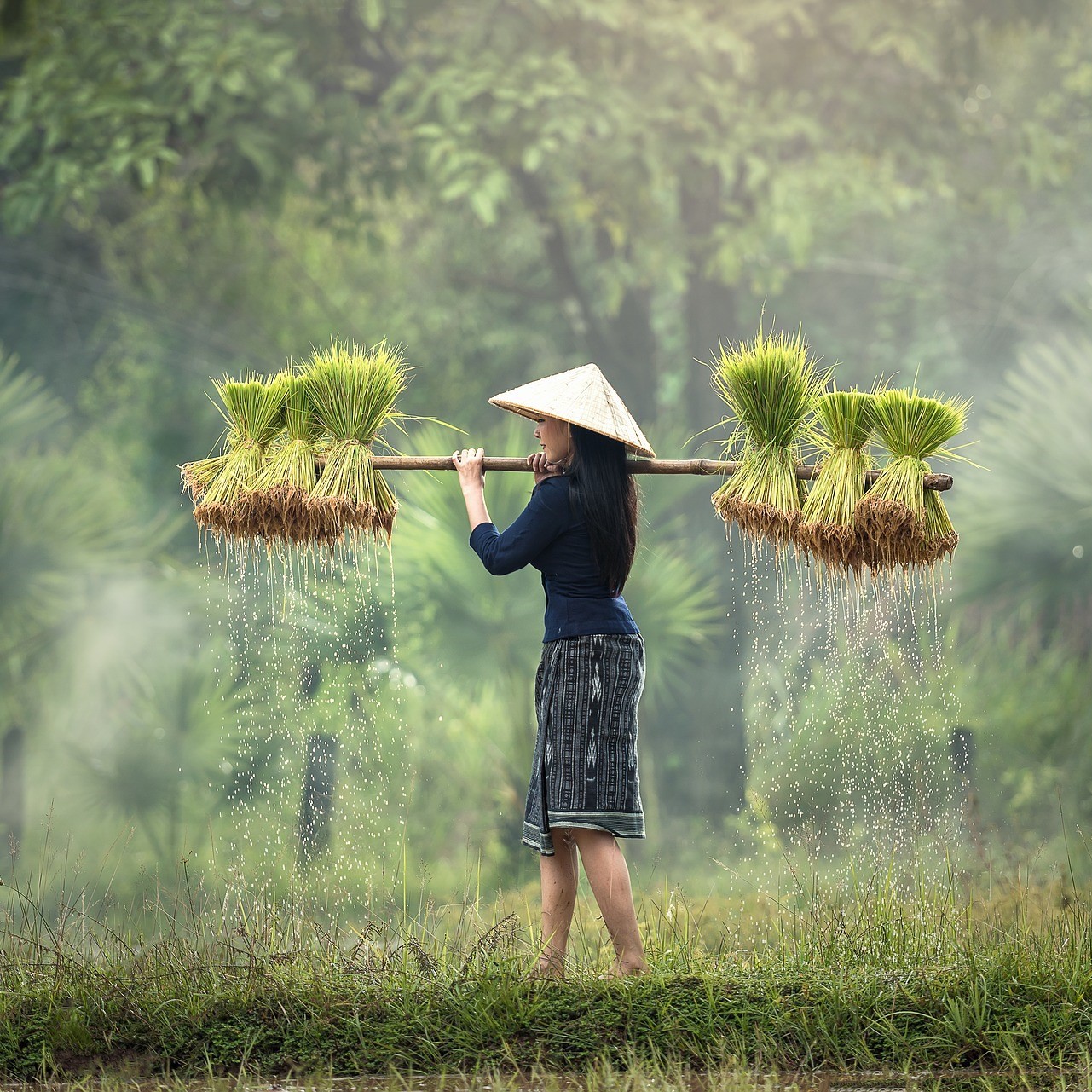 Laos