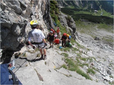 Picasa OLYMPUS DIGITAL CAMERA