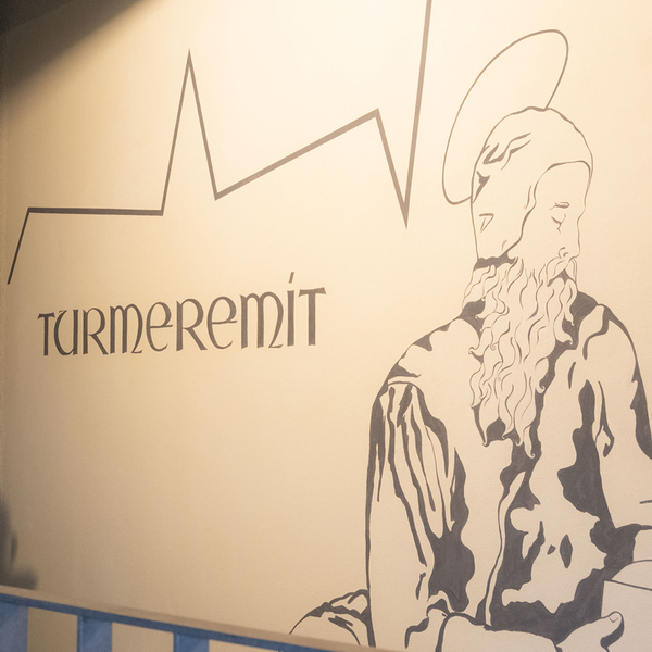 Turmeremit – Publikationen rund um das Projekt