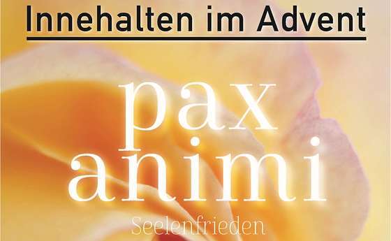 pax animi