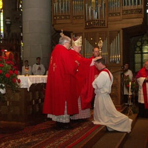 Priesterweihe im Linzer Mariendom